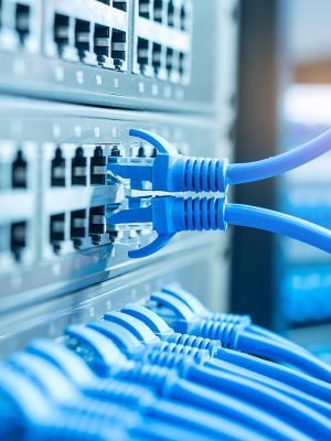 network cables connected to a switch